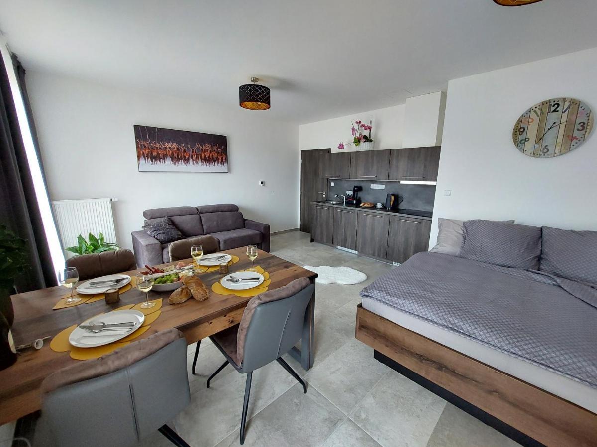 Apartman Rezidence Javor Železná Ruda エクステリア 写真