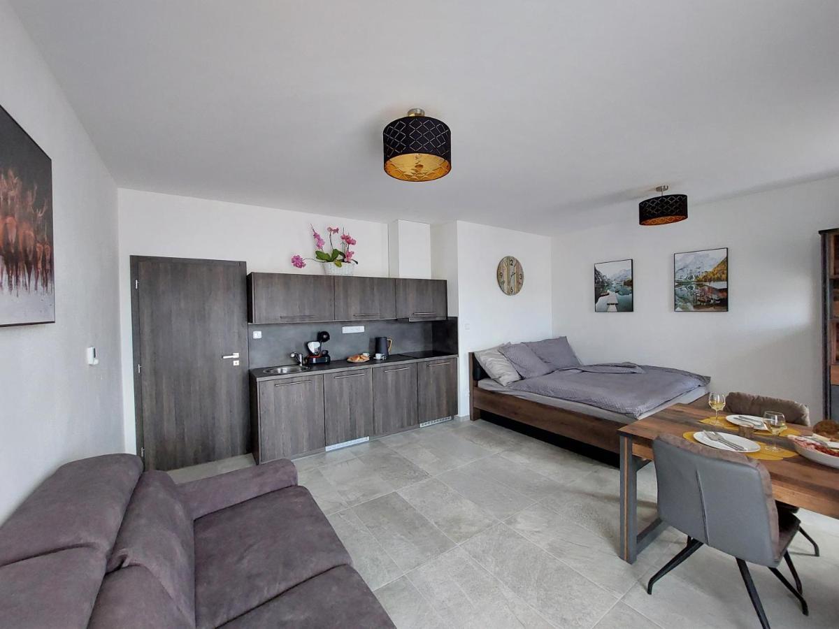 Apartman Rezidence Javor Železná Ruda エクステリア 写真